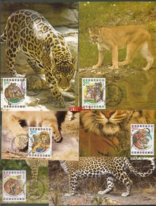 1992 Bulgaria Exotic Predators - Puma, Jaguar, Löwe, Tiger, Gepard...6х Maxicards - Bild 1 von 7