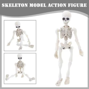 Halloween Movable Skeleton Human Model Skull Full Body Mini Figure Toy Scary K - Picture 1 of 9