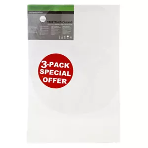 Daler Rowney Simply Canvas Pack of 3 - 40 x 50cm / 16 x 20" - Picture 1 of 1
