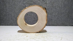 Baumscheibe, Holzscheibe,mit Öffnung ,Birke,Ring,D: 18,2- 20,8 cm, mit Rinde - Bild 1 von 7
