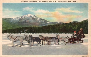 Dog Sled Team on Mirrow Lake Lake Placid N. Y. Adirondack Mts. Vintage Postcard - Picture 1 of 2