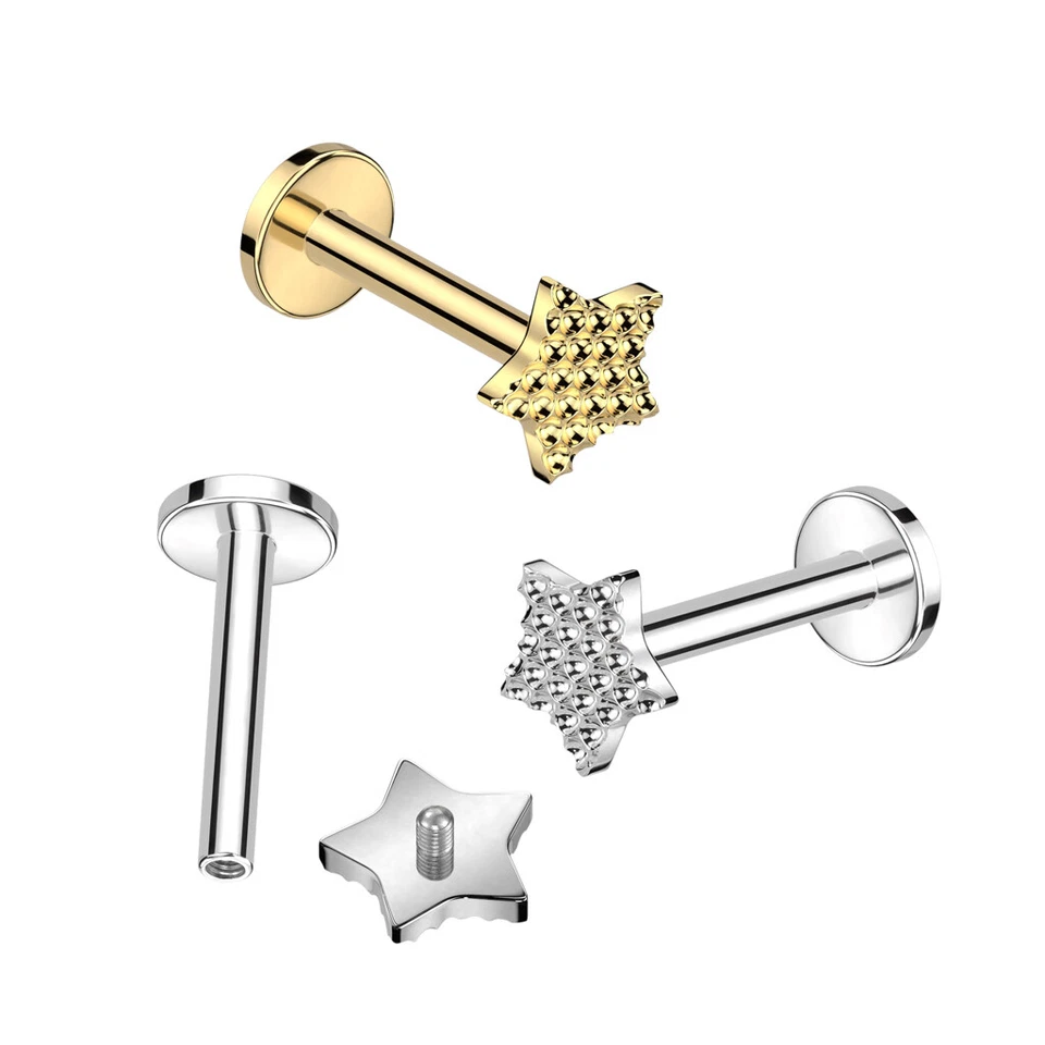 Pendiente superior golpeado barra Tragus de titanio grado implante perno roscado interno Foto 1 de 1