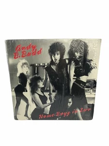 Andy B. Badd Home Boyz IN Love Vinyl rare retro 1988 CR12-020 Criminal Records - Imagen 1 de 12