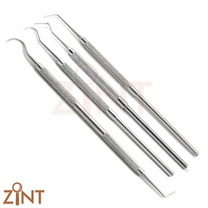 Escalador dental profesional sondas periodontales elige herramientas de acero inoxidable kit de 4 piezas - Imagen 1 de 5