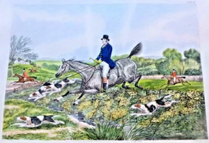 BRITISH HUNTING PRINT A PASSION FLOWER HENRY ALKEN JOHN HARRIS HAND COLOR - Picture 1 of 13