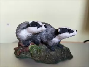 More details for pair of badgers by wildtrack, scotland