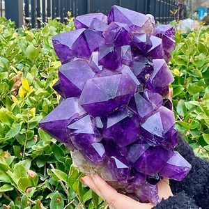 17.49LB Natural ore amethyst backbone cluster crystal tooth mineral specimen - Picture 1 of 12