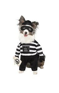 Robber Pup Pet Costume - Fun World, Size Large - Picture 1 of 1