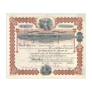 1904 West Fayette Electric Stock Certificates // 5 Shares // Brown - Picture 1 of 2