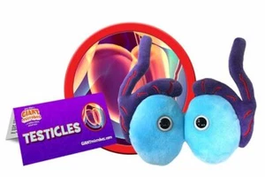 Testículos de microbios gigantes - Imagen 1 de 5