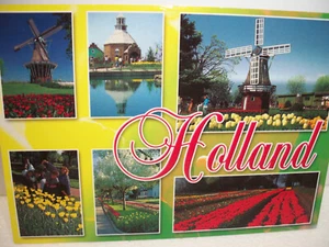Vintage Postcard DeZwaan Windmill Island Holland Michigan Unposted - Picture 1 of 2