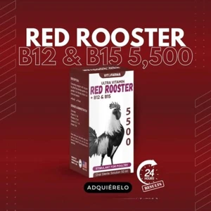 Super b12 5500 para Gallos, Supplementos Vitofarma exp.12/26 - Bild 1 von 6