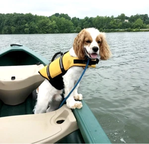 Sichtbare gelb reflektierende Vivaglory Ripstop Hund Sicherheit Schwimmweste Jacke XXS neu - Bild 1 von 7