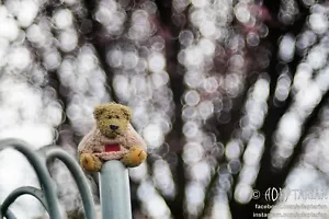 Trioplan bubbly bokeh PENTACON AV 100/2.8 converted to M42 + focusing - Picture 1 of 17