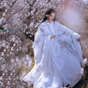 Ming System Hanfu antichità stile cinese costume antico esperto cavalleresco - Foto 1 di 4