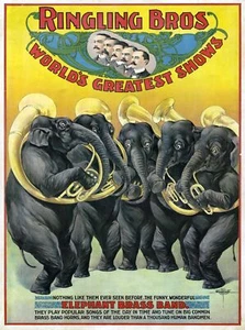 Wall Decoration Poster.Room art design.Circus Elephant jazz band.Decor.11709 - Picture 1 of 1