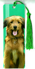 Wirehaired Pointing Griffon Bookmark Hunting Dog Italian Pointer Puppy Gift