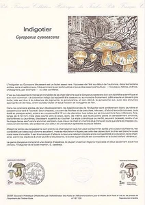 Philatelistisches Dokument 1. Tag: 30- 1987 - Indigotier Pilz - Bild 1 von 1