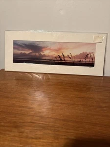 Photo Print Poster Landscape Florida New Ready For Framing Home Wall Decor - Picture 1 of 3