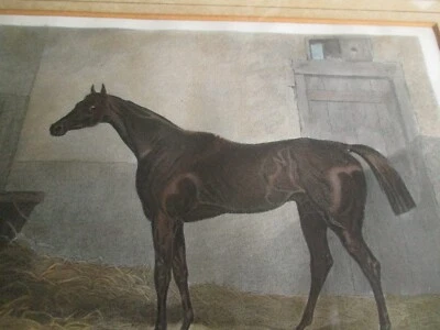 Race Horse TS Engleheart / A Cooper Original 19th C Hand Coloured Engraving F&G - Image 1 of 4