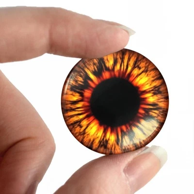 Juego artesanal globo ocular muñeca taxidermia ojos criatura vidrio naranja fuego - 66 Foto 1 de 4