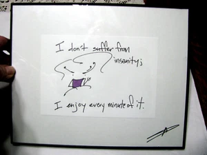 Mary Phillips Designs Framed Art-"I don't suffer from insanity, I enjoy,..,SALE - Picture 1 of 7