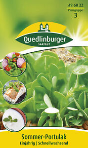 Portulak Samen von Quedlinburger Saatgut