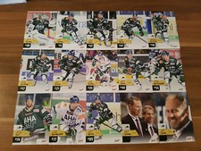DEL 17-18 2017-2018 Series 1 Team Set Augsburg Panther 15 Cards