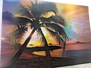 3D Picture - Palm Trees/Beach/Sunset 13 1/4" x 9 1/2" NEW FREE SHIP! - Picture 1 of 3