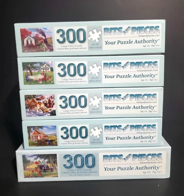 Lot of 5 300 Large Piece Bits & Pieces Puzzles - Image 1 of 4
