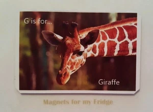 CHILDREN'S LEARNING ALPHABET 'G is for Giraffe' FRIDGE MAGNET - M416 F - Bild 1 von 1