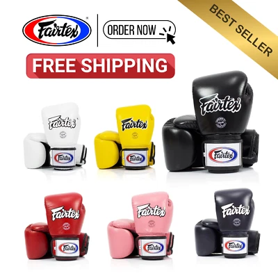 (Free Shipping) Fairtex Muay Thai Breathable Gloves BGV1-BR - Image 1 of 4
