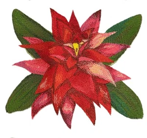 Bromelia de flores tropicales en acuarela bordado parche para planchar/coser - Imagen 1 de 4