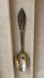 + Cucchiaio Demitasse souvenir cactus ARIZONA argento sterling BELL TRADING POST - Foto 1 di 16