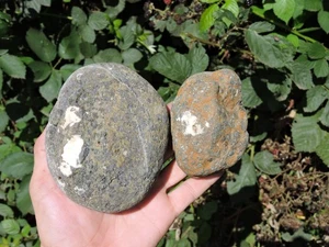 Pair of GALAXY Porphyry on ORBICULAR Rhyolite Nodules Chalcedony & Agate Inclus - Picture 1 of 24