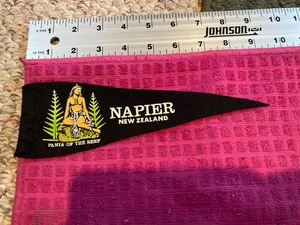 Raro PENNANT VINTAGE souvenir Nuova Zelanda Napier Marine Pania of the Reef -SPEDIZIONE VELOCE - Foto 1 di 4