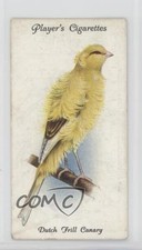 1933 Player's Aviary and Cage Birds Tobacco Dutch Frill Canary #10 3c7