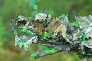 Titan 3D Mossy Oak 3D Guanti a Foglia in Ossessione, Foglia Verde - Foto 1 di 13