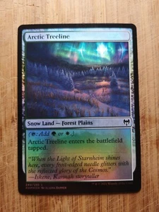 Arctic Treeline - Foil - Kaldheim - NM - EN - 249 - Picture 1 of 1