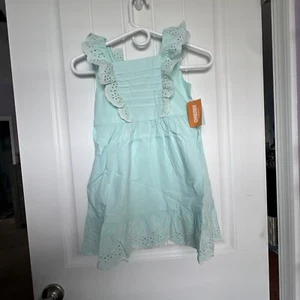 New GYMBOREE Girls Signs Of Spring Beautiful Mint Green Dress - Picture 1 of 4