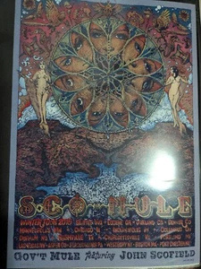 GOV'T MULE JOHN SCOFIELD WINTER TOUR 2015 POSTER CONCERTO ORIGINALE VARIANTE WELKER - Foto 1 di 3