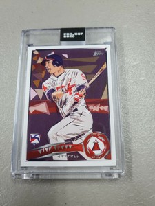 2020 Topps Project Mike Trout #167 Angels by NATUREL L4