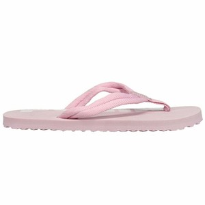 puma flip flops 41