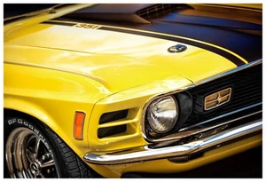 1970 Ford Mustang Mach 1 351 Cleveland Photo Print 13x19 Art Muscle Car Yellow - Bild 1 von 1