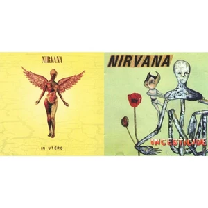 Nirvana - Incesticide (20Th Anniversary 45RPM Edition) & [New LP Vinyl Bundle] - Picture 1 of 3