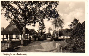 S160, AK, Langballig, "Dorfstraße in Steinbergholz", ungelaufen. - Bild 1 von 2