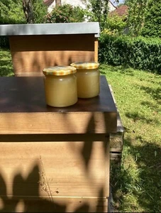 Honig 1,5kg 3 Gläser Je 500g - Bild 1 von 5