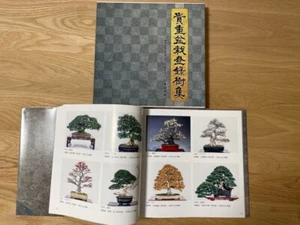 Kokufu Bonsai Ten Exhibition Collection of Registered Rare Bonsai Trees Japan - Picture 1 of 3