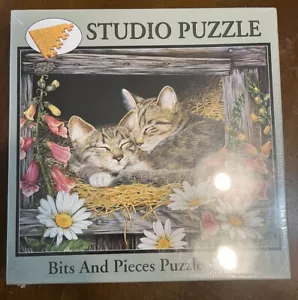 Puzzle Studio Pezzi e Pezzi 1000 Pezzi Gattini In Giardino Maday 20"x27" Nuovo - Foto 1 di 3