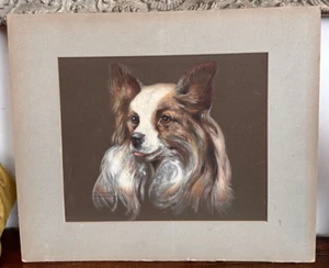 Vecchio quadro -olio su cartoncino - cane - volpino - Foto 1 di 7